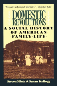 Domestic Revolutions A Social History of American Family Life