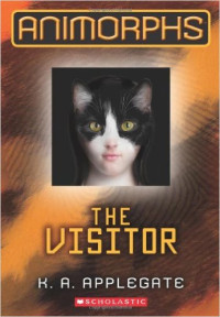 The Visitor