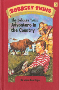 Image of The Bobbsey Twins: Petualangan Di Desa 2