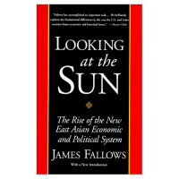 Looking at the sun : the rise of the new East Asian economic and political system